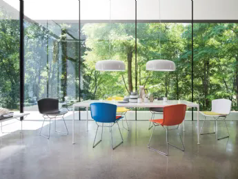 Bertoia Molded Shell Side Chair