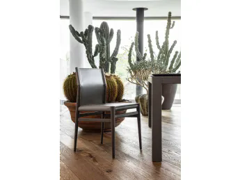 Ledermann