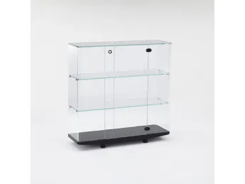 Collector Contenitore