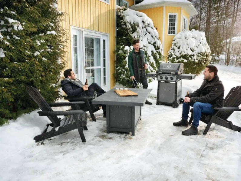 Barbecue FREESTYLE 365 SIB Gas Grill di Napoleon