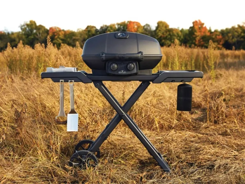Barbecue PHANTOM TRAVELQ PRO285X Gas Grill di Napoleon