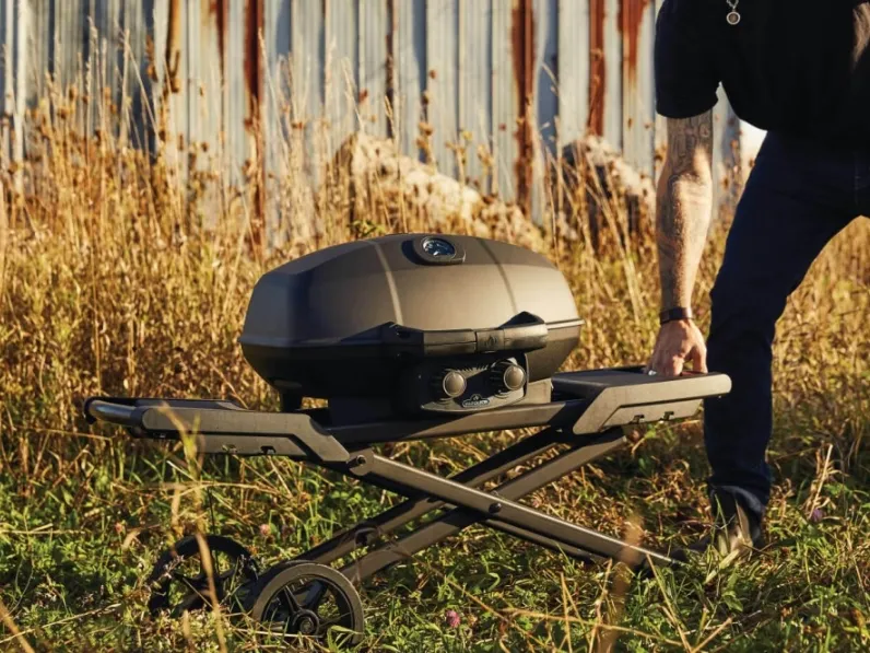 Barbecue PHANTOM TRAVELQ PRO285X Gas Grill di Napoleon