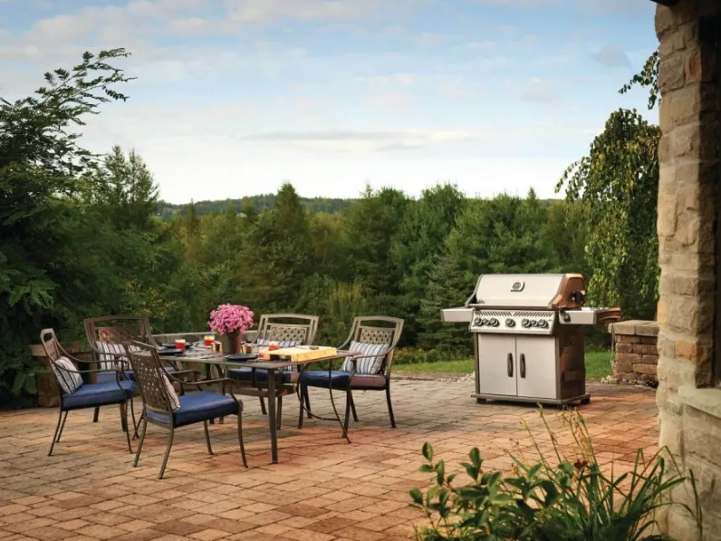 Barbecue ROGUE SE 625 RSIB Gas Grill di Napoleon