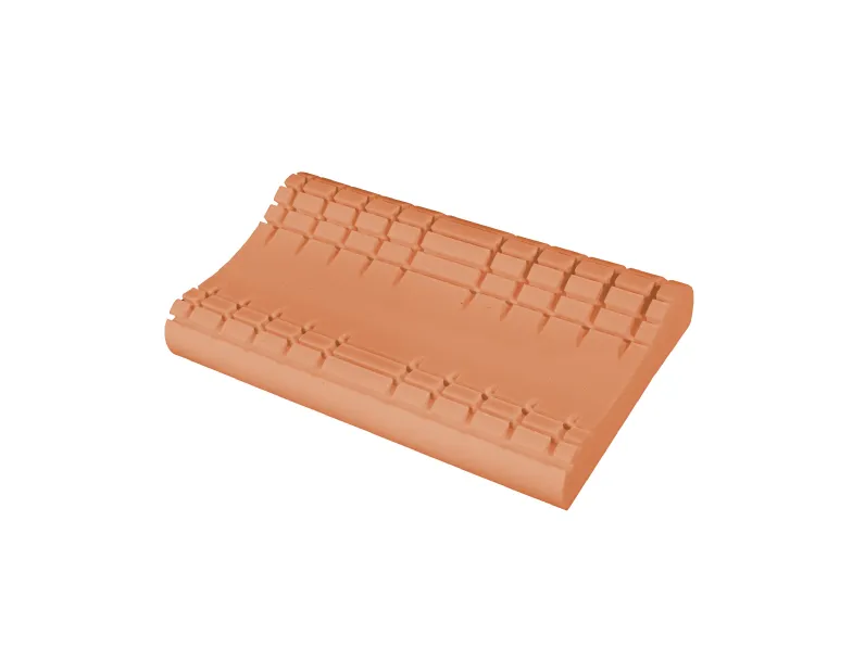 Guanciale Shape Bio Soia di San Lorenzo