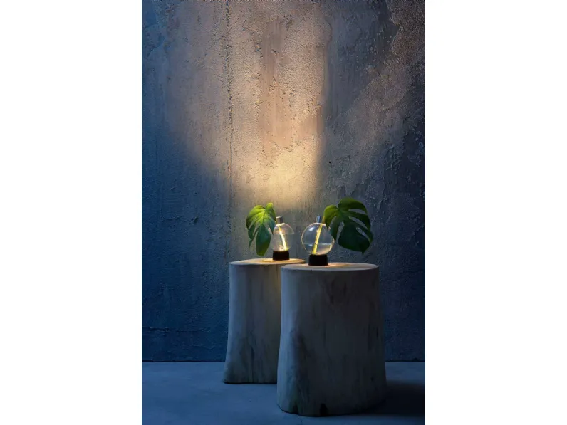 Lampada Bulbovaso da tavolo di Vesoi