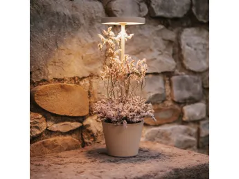 Poldina reverso da esterni