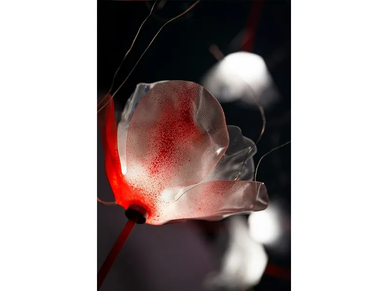 Lampada Poppy Suspension di Slamp