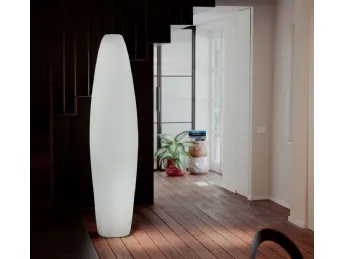Reborn Lamp