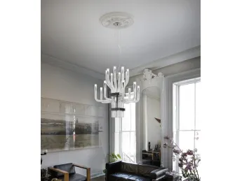 Stardust a sospensione