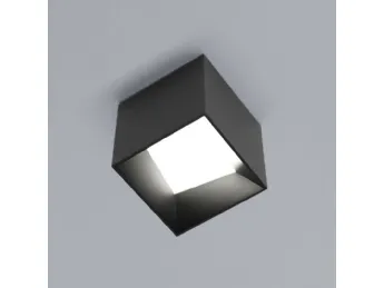 Cube