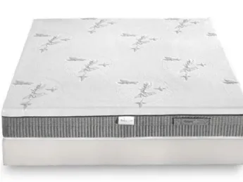 Collezione Tenere Notti È Plume