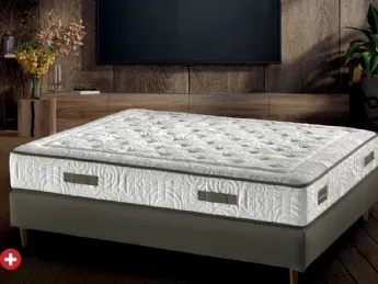 Evolution Compatto 600