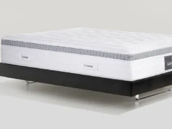 Magnifico Audace Armonia Memoform Dual 12