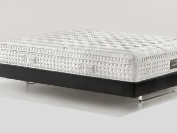 Magnifico Maestro Dual 12