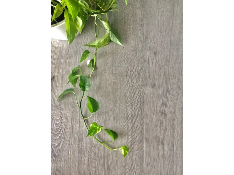 Parquet vinilico SPC Wood di Milano Parquet