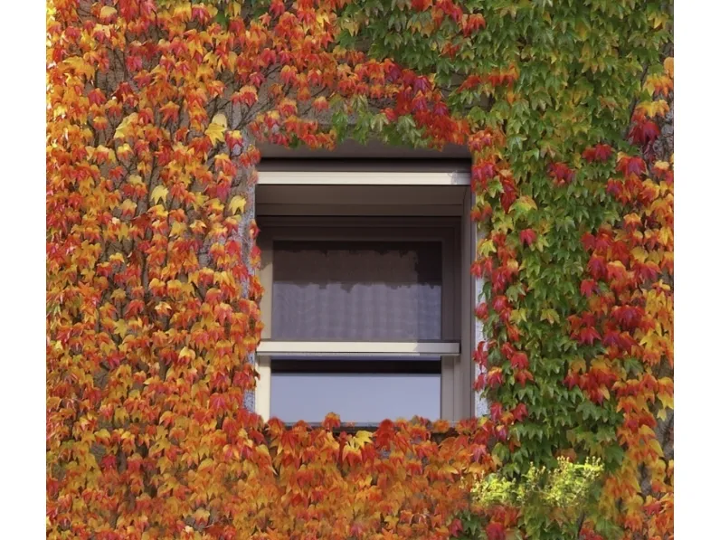 Zanzariera per finestre Sigma a scorrimento verticale di Bettio