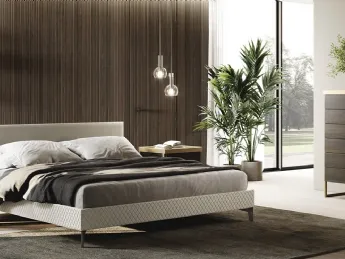 Misty Tray Gruppo Notte