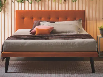 Simplicity Project C55