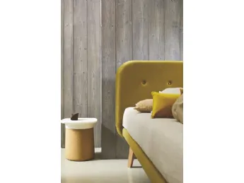 Simplicity Project C85