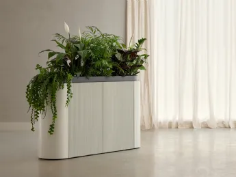 Dune Planter