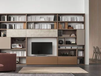 Sistema Spalla Comp SA2210