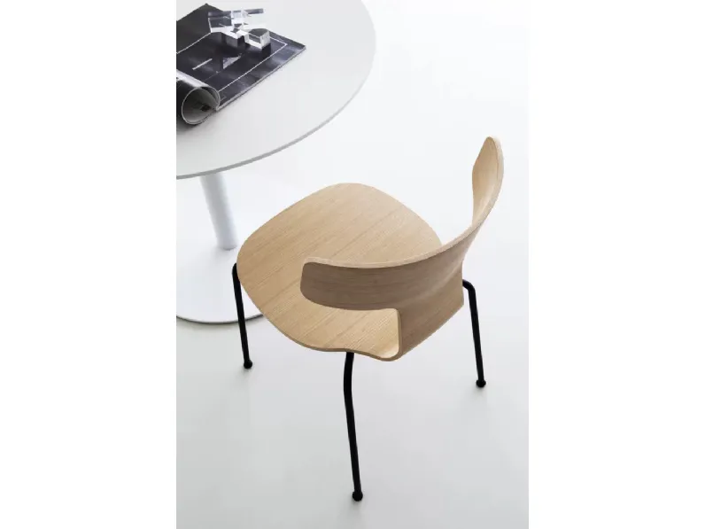 Sedia Fedra di LaPalma