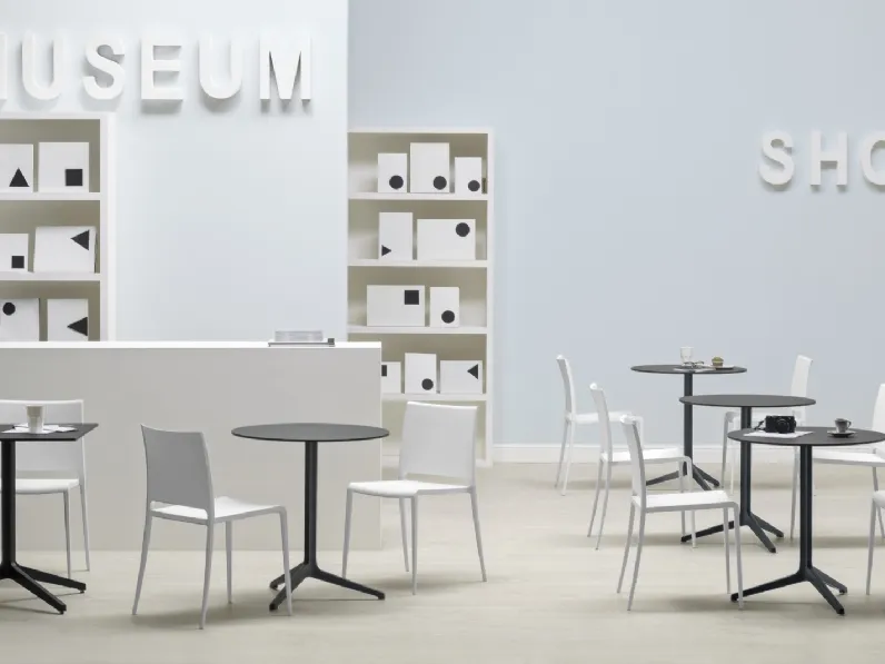 Sedia Mya di Pedrali