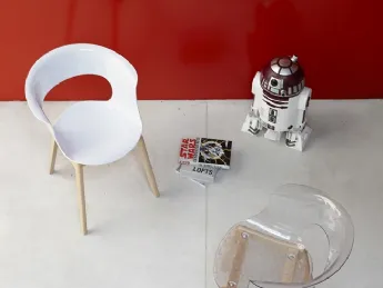 Natural Miss B Antishock