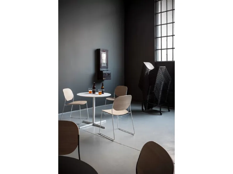 Sedia Olo di LaPalma