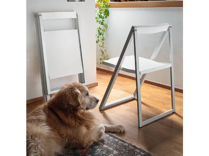 Sedia pieghevole Skip in legno laccato di Connubia