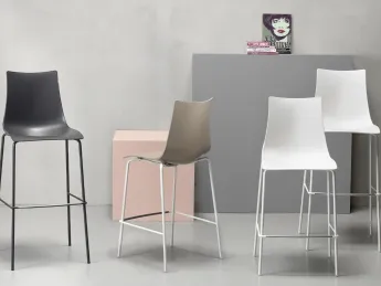 Zebra Tecnopolimero SG