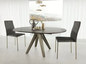 Apple Noce Termocotto