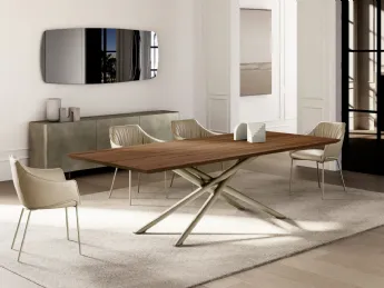 Baly top legno