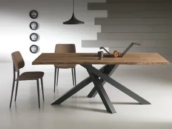 SICS-TIN Duepuntozero Rovere