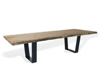 Rovere Briccola art 5573