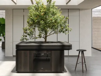 Oasi in Rovere fossile