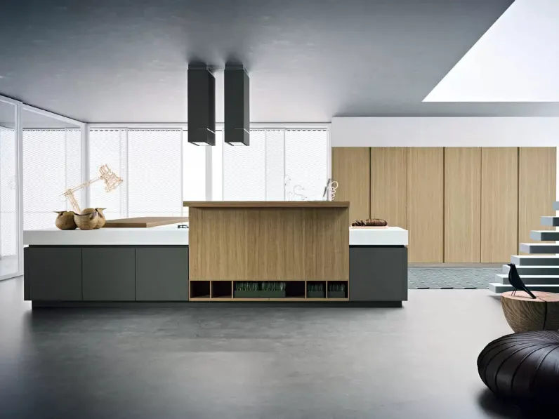 Cucina Moderna Area 22 30° con isola in laccato opaco e essenza Rovere di Dibiesse
