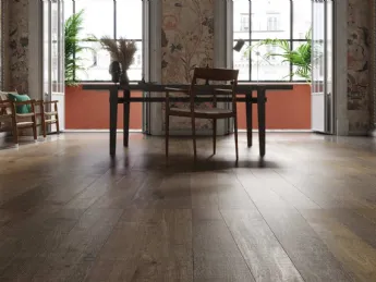 Special Edition Terre di Vigna