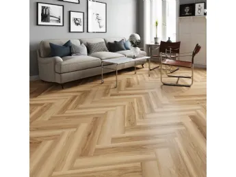 Evolution Spina Italiana 01