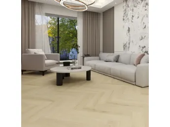 Evolution Spina Italiana 02