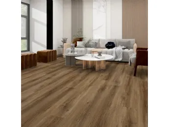 Evolution Tack Dry Plus 01