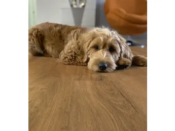 Solid Power Core Lausanne