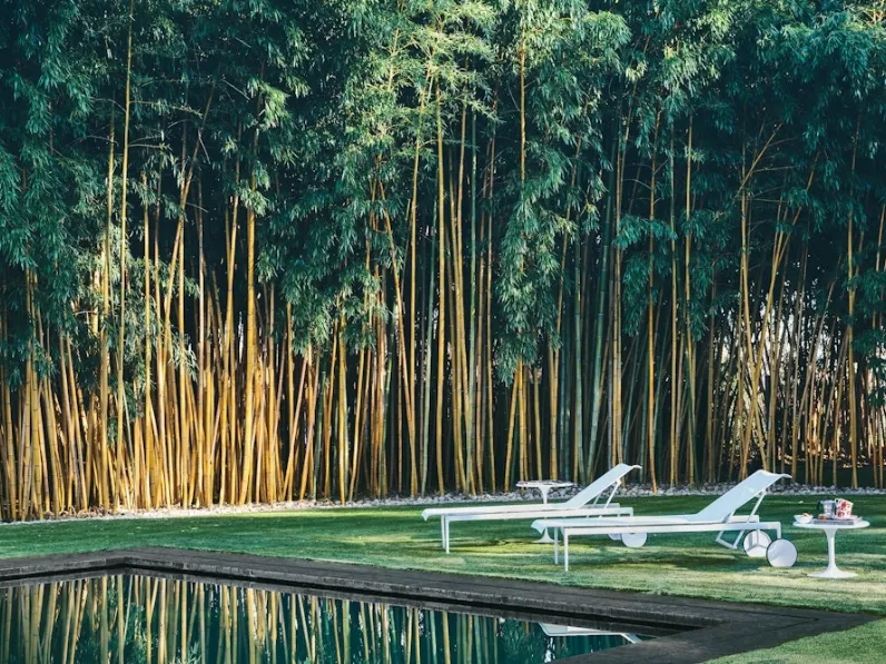 Lettino da giardino 1966 Adjustable Chaise Lounge di Knoll