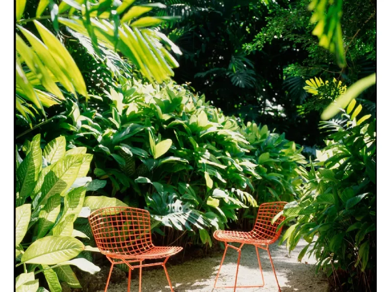 Sedia Bertoia Side Chair Outdoor di Knoll