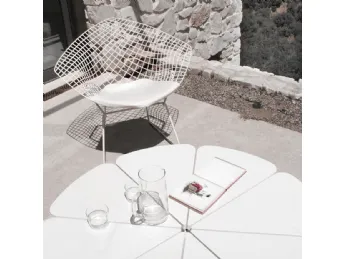 Petal® Coffee Table