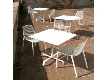 Rion Omnia Selection Sedia