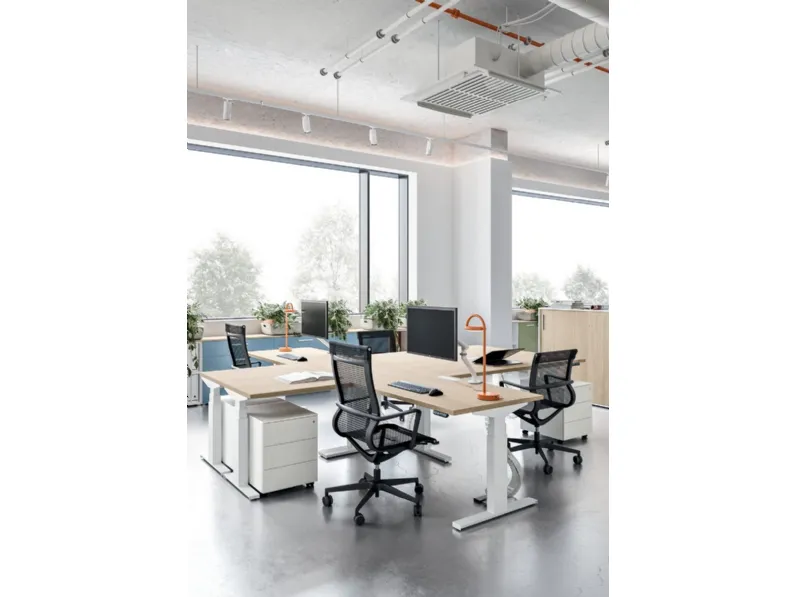 Scrivania operativa angolare regolabile in altezza Hermes di Walco