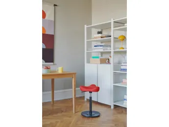 Move Compact