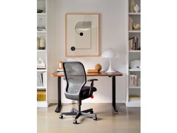 Newson Task Seduta Operativa