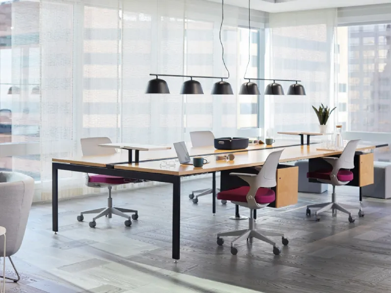 Seduta Operativa Ollo with Shell Back di Knoll